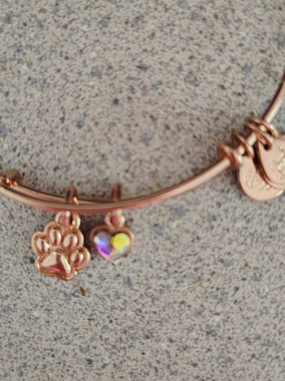 NWOT Alex and Ani Rose Gold Cat Dog Paw Heart Crystal Charm Bangle   157